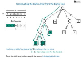 Constructing the Sufﬁx Array from the Sufﬁx Tree
a
s$
nas$
nas$
nas$
s$
na
s$
bananas$
1 3
5
0
2 4
6
T b n aaT a sn
n
Sufﬁx Array
recall that we added a unique symbol $ to make sure the tree exists
- the $ is the smallest symbol in the alphabet
1 0 625 43
n
To get the Sufﬁx array perform a depth-ﬁrst search (in lexicographical order)
1 3
5
10 2 3 4 5 6
 