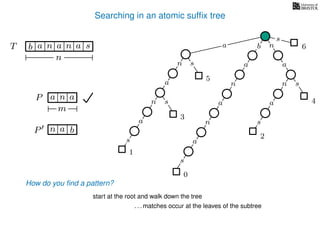 Searching in an atomic sufﬁx tree
sn
a
s
n
a
s
a
n
a
s
TT b n aaa sn
n
s
b n
a
sn
a
n
a
s
How do you ﬁnd a pattern?
0
1
2
3
4
5
P aa n
m
start at the root and walk down the tree
a
. . . matches occur at the leaves of the subtree
P bn a
6
 