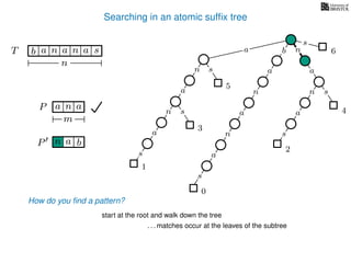 Searching in an atomic sufﬁx tree
sn
a
s
n
a
s
a
n
a
s
TT b n aaa sn
n
s
b n
a
sn
a
n
a
s
How do you ﬁnd a pattern?
0
1
2
3
4
5
P aa n
m
start at the root and walk down the tree
a
. . . matches occur at the leaves of the subtree
P bn a
6
 