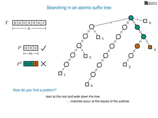 Searching in an atomic sufﬁx tree
sn
a
s
n
a
s
a
n
a
s
TT b n aaa sn
n
s
b n
a
sn
a
n
a
s
How do you ﬁnd a pattern?
0
1
2
3
4
5
P aa n
m
start at the root and walk down the tree
a
. . . matches occur at the leaves of the subtree
P bn a
6
 