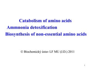 Catabolism of amino acids  Ammnonia detoxification  Biosynthesis of non-essential amino acids     Biochemický ústav LF MU (J.D.) 2011 