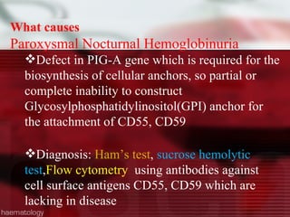 What causes Paroxysmal Nocturnal Hemoglobinuria  Defect in PIG-A gene  which is required for the biosynthesis of cellular anchors,  so partial or complete inability to construct Glycosylphosphatidylinositol(GPI) anchor for the attachment of CD55, CD59 Diagnosis:  Ham’s test ,  sucrose hemolytic test , Flow cytometry  using antibodies against cell surface antigens CD55, CD59 which are lacking in disease 