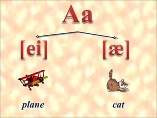 plane cat 