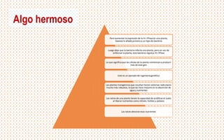 Para aumentar la expresión de la H+-PPasa en una planta,
Gaxiola lo añade primero a un tipo de bacteria
Luego deja que la bacteria infecte una planta, pero en vez de
enfermar la planta, esta bacteria regula a H+-PPasa
Lo que significa que las células de la planta comienzana producir
más de este gen
Este es un ejemplo de ingenieríagenética
Las plantas transgénicas que resultan tienen sistemas radiculares
mucho más robustos, lo que las hace mejores en la absorción de
agua y nutrientes
Las raíces de una planta tienen la capacidad de acidificarel suelo
al liberar nutrientes como nitrato, fosfato y potasio
Las raíces devoran esos nutrientes
Algo hermoso
 