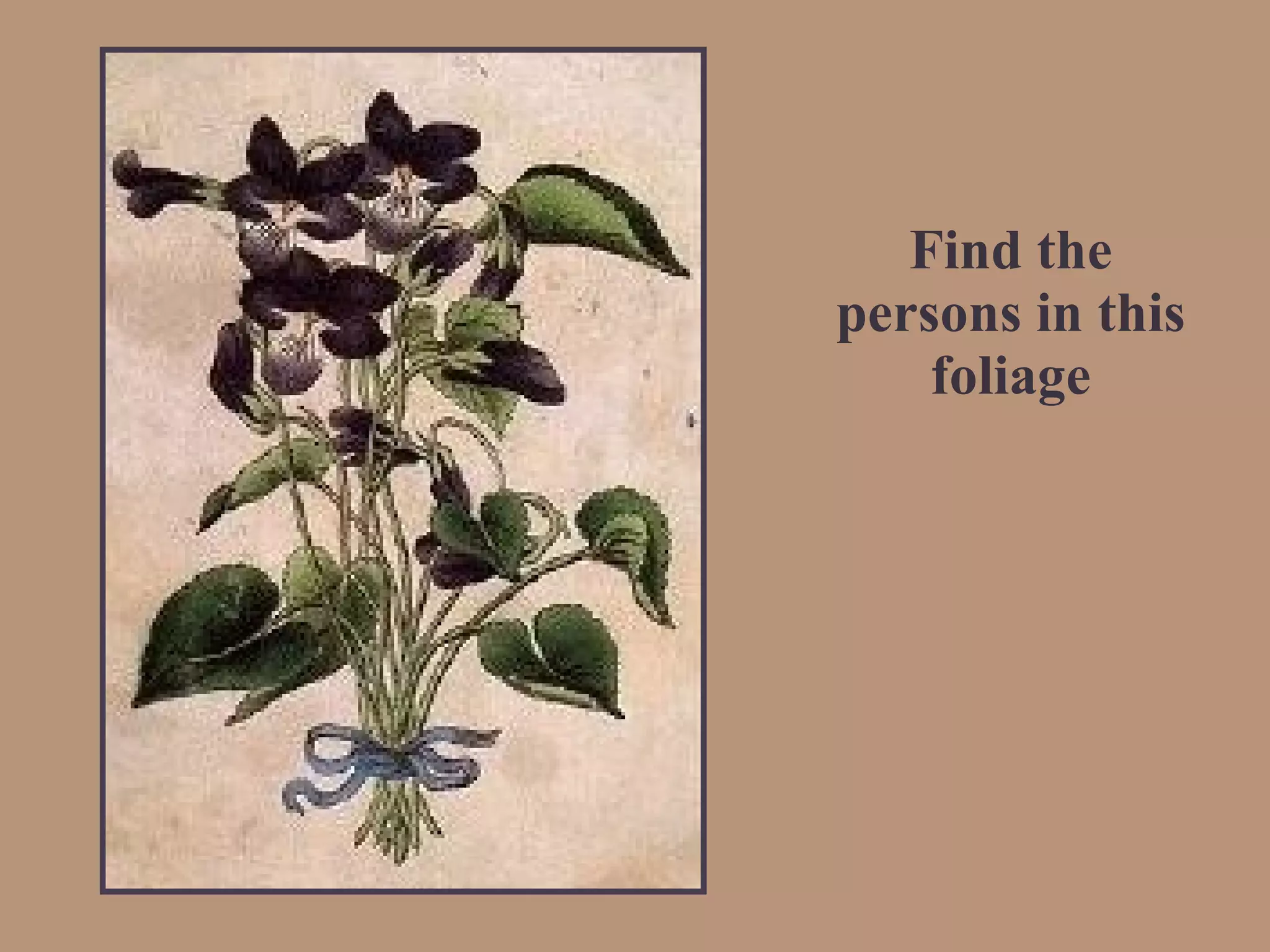 Find the persons in this foliage 