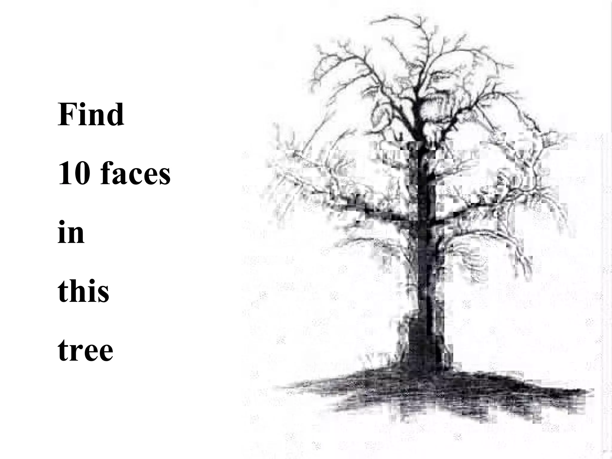 Find  10 faces  in this tree 