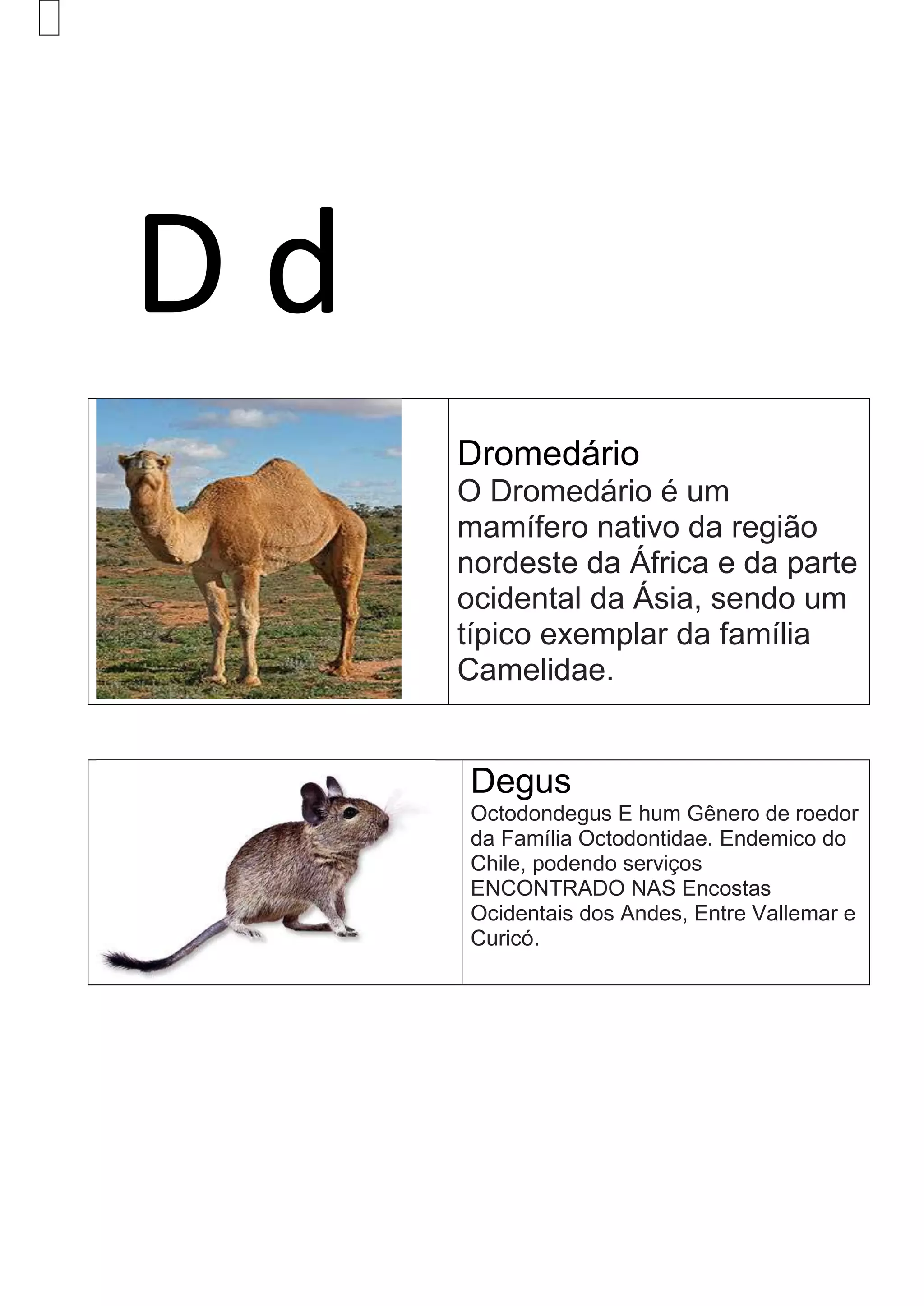 D d
Dromedário
O Dromedário é um
mamífero nativo da região
nordeste da África e da parte
ocidental da Ásia, sendo um
típico exemplar da família
Camelidae.
Degus
Octodondegus E hum Gênero de roedor
da Família Octodontidae. Endemico do
Chile, podendo serviços
ENCONTRADO NAS Encostas
Ocidentais dos Andes, Entre Vallemar e
Curicó.
 