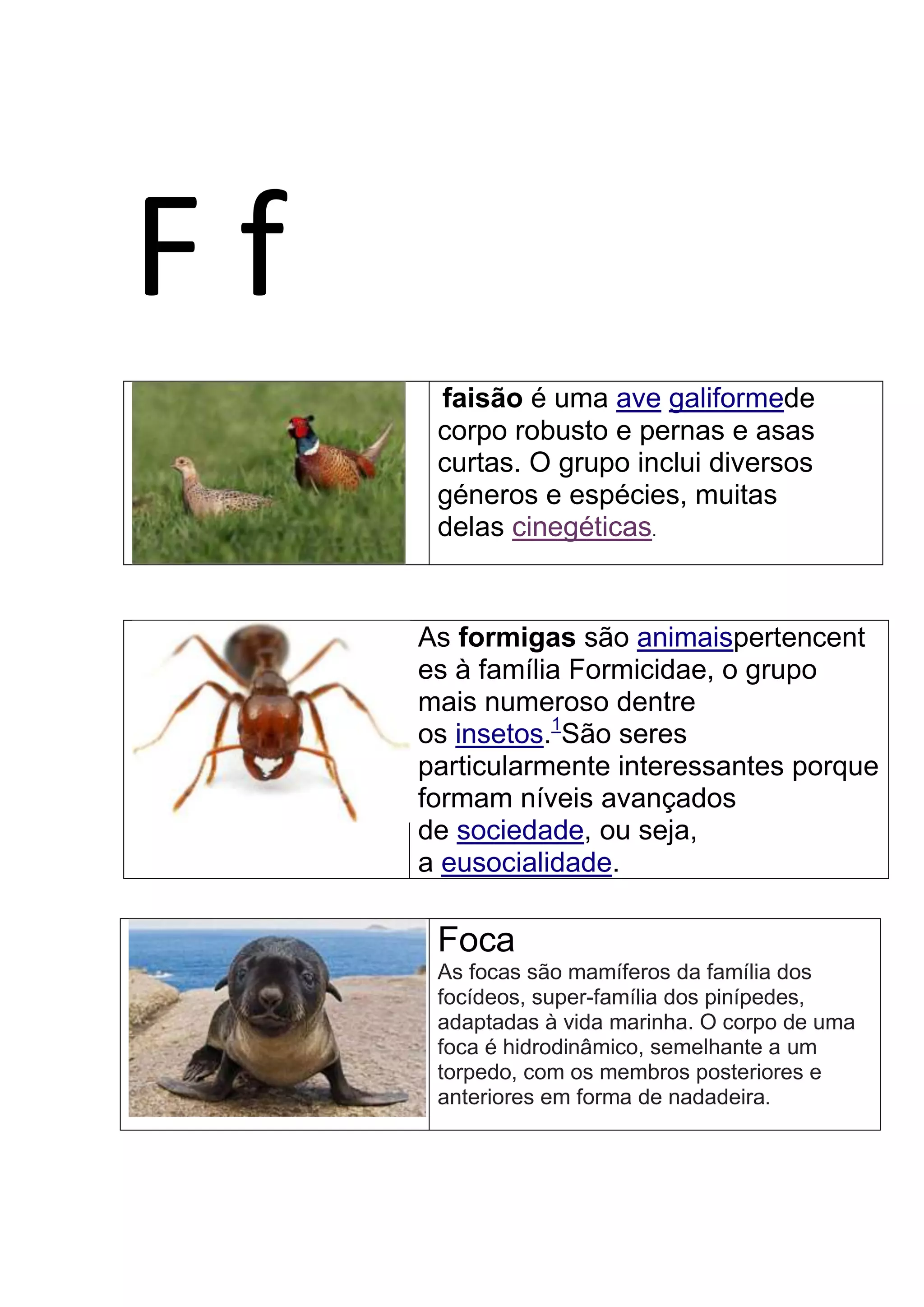 F f
faisão é uma ave galiformede
corpo robusto e pernas e asas
curtas. O grupo inclui diversos
géneros e espécies, muitas
delas cinegéticas.
As formigas são animaispertencent
es à família Formicidae, o grupo
mais numeroso dentre
os insetos.1
São seres
particularmente interessantes porque
formam níveis avançados
de sociedade, ou seja,
a eusocialidade.
Foca
As focas são mamíferos da família dos
focídeos, super-família dos pinípedes,
adaptadas à vida marinha. O corpo de uma
foca é hidrodinâmico, semelhante a um
torpedo, com os membros posteriores e
anteriores em forma de nadadeira.
 