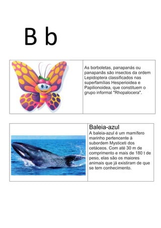 B b
As borboletas, panapanás ou
panapanãs são insectos da ordem
Lepidoptera classificados nas
superfamílias Hesperioidea e
Papilionoidea, que constituem o
grupo informal "Rhopalocera".
Baleia-azul
A baleia-azul é um mamífero
marinho pertencente à
subordem Mysticeti dos
cetáceos. Com até 30 m de
comprimento e mais de 180 t de
peso, elas são os maiores
animais que já existiram de que
se tem conhecimento.
 