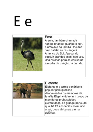 E e
Ema
A ema, também chamada
nandu, nhandu, guaripé e xuri,
é uma ave da família Rheidae
cujo habitat se restringe à
América do Sul. Apesar de
possuir grandes asas, não voa.
Usa as asas para se equilibrar
e mudar de direção na corrida.
Elefante
Elefante é o termo genérico e
popular pelo qual são
denominados os membros da
família Elephantidae, um grupo de
mamíferos proboscídeos
elefantídeos, de grande porte, do
qual há três espécies no mundo
atual, duas africanas e uma
asiática.
 
