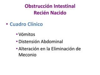 Obstrucción Intestinal
Recién Nacido
• Cuadro Clínico
•Vómitos
•Distensión Abdominal
•Alteración en la Eliminación de
Meconio
 