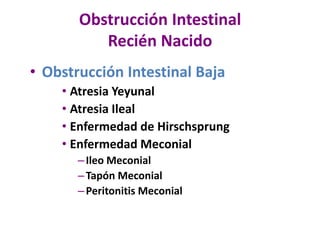 Obstrucción Intestinal
Recién Nacido
• Obstrucción Intestinal Baja
• Atresia Yeyunal
• Atresia Ileal
• Enfermedad de Hirschsprung
• Enfermedad Meconial
–Ileo Meconial
–Tapón Meconial
–Peritonitis Meconial
 
