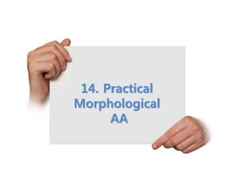 14. Practical
Morphological
AA
 