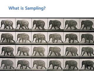 What is Sampling?
 