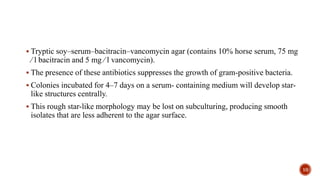 Aggregatibacter actinomycetemcomitans | PPTX