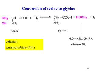 Conversion of serine to glycine H 2 O + N 5 N 10 -CH 2 -FH 4 methylene FH 4   serine glycine cofactor: tetrahydrofolate (FH 4 )  