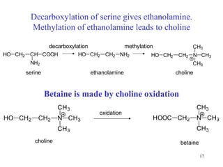 Betain e   is made by  cholin e oxidation oxida tion De c arboxyla tion of  serin e gives  ethanolamin e. Methyla tion of  ethanolamin e   leads to  cholin e de c arboxyla tion methyla tion serin e ethanolamin e cholin e betain e cholin e 