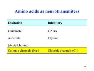 Amino  acids as  neurotransmiter s Chlorid e channels  (Cl - ) C ation ic channels  (Na + ) GABA Glycin e Glutam ate Aspart ate (Acetylcholin e ) Inhibi tory Excita tion 
