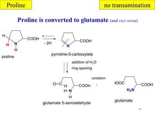 Proline is converted to glutamate  (and  vice versa ) proline   glutamate   5-semialdehyde   glutamate   pyrroline-5-carboxylate   oxidation   addition of H 2 O ring opening   Proline n o  transamina tion 