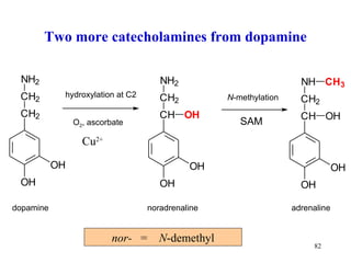 Two more catecholamines from dopamine Cu 2+ nor-   =  N -demethyl hydroxylation at C2 N -methylation dopamine noradrenaline adrenaline O 2 , ascorbate 