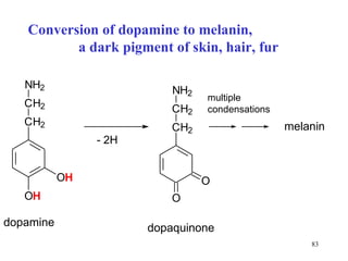 Conversion of dopamine to melanin,  a dark pigment of skin, hair, fur dopamine dopaquinone melanin multiple  condensations 