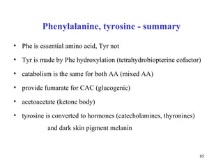 Phenylalanine, tyrosine - summary Phe is essential amino acid, Tyr not  Tyr  is made by Phe  hydroxyla tion ( tetrahydrobiopterin e cofactor) catabolism is the same for both AA (mixed AA) provide fumarate for CAC (glucogenic)  acetoacetate (ketone body) tyrosine is converted to hormones (catecholamines, thyronines)  and dark skin pigment melanin 