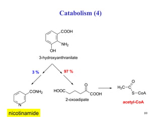 Catabolism (4) 3-hydroxyanthranilate nicotinamide 2-oxoadipate 
