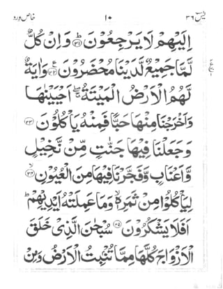 Surah Yaseen (Wird-e-Khas)