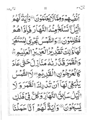 Surah Yaseen (Wird-e-Khas)