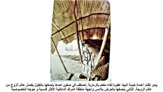 ‫بالرمزية‬ ‫مفعم‬ ‫لكنه‬ ‫عفويا‬ ‫البجا‬ ‫خيمة‬ ‫أعمدة‬ ‫نظام‬ ‫يبدو‬
.
‫يفصل‬ ‫بالطول‬ ‫ينصفها‬ ‫أحدها‬ ‫صفين‬ ‫في‬ ‫تصطف‬
‫من‬ ‫الزوج‬ ‫عالم‬
‫الزوجة‬ ‫عالم‬
.
‫للخصوصي‬ ‫حوجه‬ ‫و‬ ‫قدسية‬ ‫األكثر‬ ‫الداخلية‬ ‫المرقد‬ ‫منطقة‬ ‫واجهة‬ ‫يالمس‬ ‫بالعرض‬ ‫ينصفها‬ ‫الثاني‬
‫ة‬
 