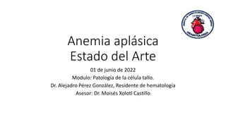 Anemia aplásica
Estado del Arte
01 de junio de 2022
Modulo: Patología de la célula tallo.
Dr. Alejadro Pérez González, Residente de hematología
Asesor: Dr. Moisés Xolotl Castillo
 
