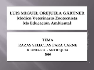 Luis Miguel Orejuela Gärtner
          TEMA
RAZAS SELECTAS PARA CARNE
   RIONEGRO - ANTIOQUIA
           2010

                                                           1
 