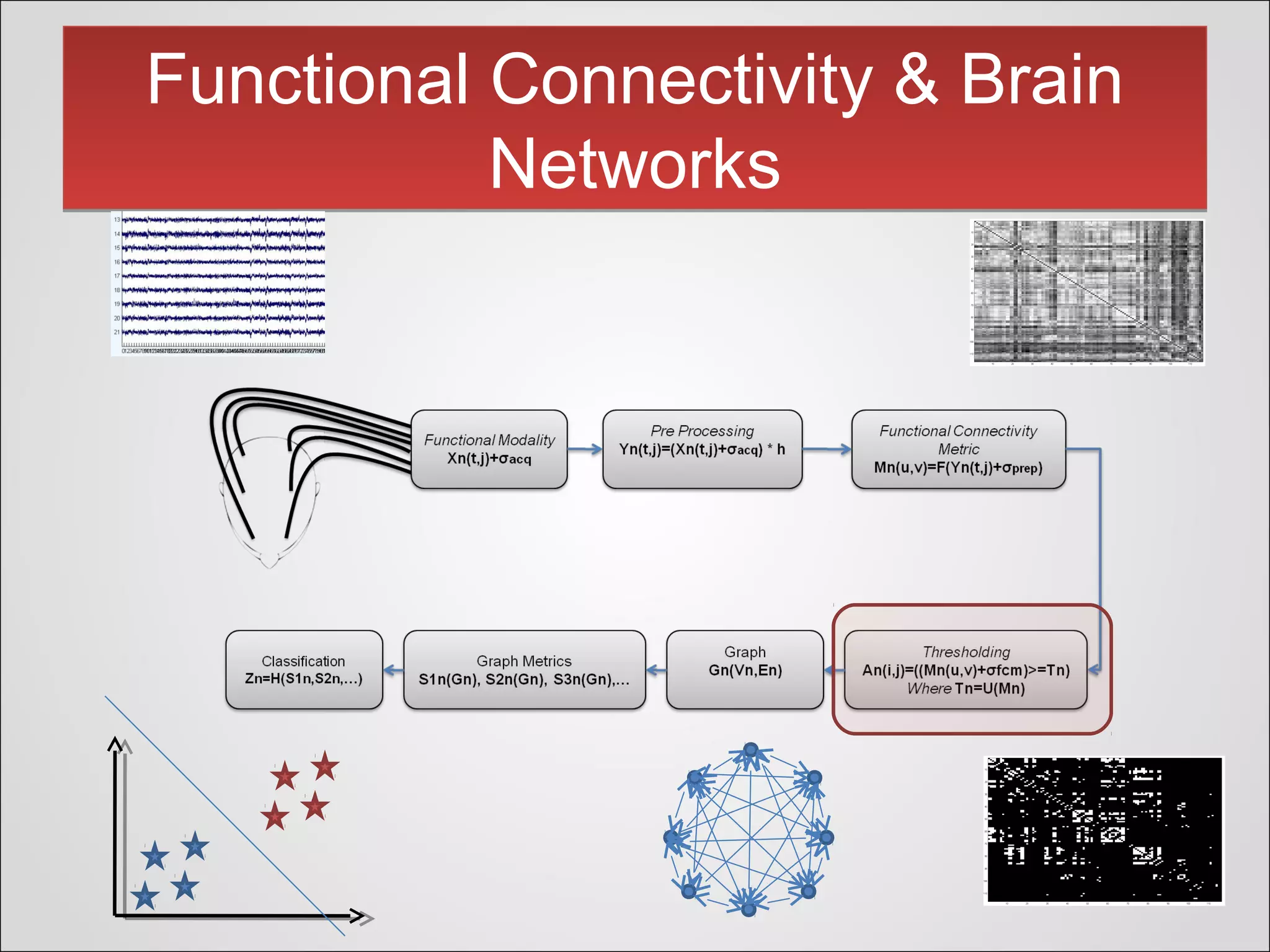 Functional Connectivity & Brain
Networks
Functional Connectivity & Brain
Networks
 