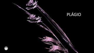 PLÁGIO
 