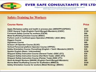 Ever Safe Company Profile | PDF