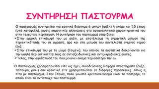 ΣΥΝΤΗΡΗΣΗ ΠΑΣΤΟΥΡΜΑ
Ο παστουρμάς συντηρείται για χρονικό διάστημα 6 μηνών (ψύξη) ή ακόμα και 1,5 έτους
(υπό κατάψυξη), χωρίς σημαντικές αλλοιώσεις στα οργανοληπτικά χαρακτηριστικά του
στην τελευταία περίπτωση. Η συντήρηση του παστουρμά στηρίζεται:
Στην αρχική επικάλυψή του με αλάτι, με αποτέλεσμα τη σημαντική μείωση της
περιεκτικότητάς του σε υγρασία, άρα και στη μείωση του συντελεστή ενεργού νερού
(aw).
Στην επικάλυψή του με το μίγμα (τσιμένι), του οποίου τα συστατικά διακρίνονται για
την υψηλή περιεκτικότητά τους σε αντιοξειδωτικές και αντιμικροβιακές ουσίες.
Τέλος, στην αφυδάτωσή του που μειώνει ακόμα περισσότερο την aw.
Ο παστουρμάς χρησιμοποιείται είτε ως έχει, συνοδεύοντας διάφορα αποστάγματα (ούζο,
τσίπουρο, ρακί) σαν ορεκτικό είτε χρησιμοποιείται σε διάφορες παρασκευές, όπως η
πίτα με παστουρμά. Στην Ιταλία, πολύ γνωστό κρεατοσκεύασμα είναι το παστράμι, το
οποίο είναι το αντίστοιχο του παστουρμά.
 
