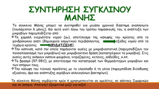 ΣΥΝΤΗΡΗΣΗ ΣΥΓΚΛΙΝΟΥ
ΜΑΝΗΣ
Το σύγκλινο Μάνης μπορεί να συντηρηθεί για μεγάλο χρονικό διάστημα αναλλοίωτο
(τουλάχιστον 6 μήνες). Και αυτό γιατί λόγω του τρόπου παρασκευής του, η ανάπτυξη των
μικροβίων παρεμποδίζεται από:
Τη χαμηλή ενεργότητα νερού (aw), αποτέλεσμα της κάλυψης του κρέατος από το
χονδρόκοκκο αλάτι (δημιουργία οσμωτικού περιβάλλοντος έξοδος νερού από τα
τεμάχια κρέατος ΑΦΥΔΑΤΩΣΗ!!).
Την κάπνιση, κατά την οποία παράγονται ουσίες με μικροβιοστατική (παρεμποδίζουν τον
πολλαπλασιασμό των μικροβίων) και μικροβιοκτόνο δράση (καταστρέφουν τα μικρόβια). Στις
ουσίες αυτές ανήκουν κάποια φουράνια, νιτροζαμίνες, κετόνες, αλδεΰδες, κ.λπ.
Το βρασμό (97-98ο
C), με αποτέλεσμα την καταστροφή των θερμοάντοχων μικροβίων και
των σπόρων τους.
Την κάλυψη του τελικού προϊόντος με το ελαιόλαδο ή τη γλίνα (παρεμπόδιση διείσδυσης
οξυγόνου, άρα και ανάπτυξης αερόβιων αλλοιογόνων βακτηρίων).
Το σύγκλινο Μάνης σερβίρεται κρύο ή χρησιμοποιείται σε ομελέτες, σε σάλτσες ζυμαρικών
και σε όσπρια. Αποτελεί εξαιρετικό μεζέ για ούζο!
 