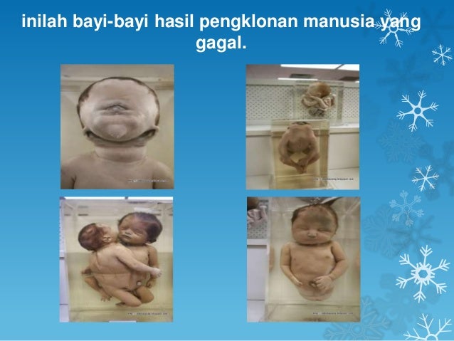Proses Kejadian Manusia Menurut Islam AA203 PENGLKLONAN MANUSIA HAIWAN DAN TUMBUHAN MENURUT Proses Kejadian Manusia Menurut Islam AA203 PENGLKLONAN MANUSIA HAIWAN DAN TUMBUHAN MENURUT