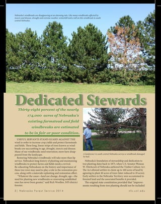 4 | N e b r a s k a F o r e s t S e r v i c e 2 0 1 4 				 n f s . u n l . e d u
Thirty-eight percent of the nearly
174,000 acres of Nebraska’s
existing farmstead and field
windbreaks are estimated
to be in fair or poor condition.
USEFUL SERVANTS STAND GUARD AGAINST THE
wind in order to increase crop yields and protect farmsteads
and fields. These long, linear strips of trees known as wind-
breaks are succumbing to age, drought, insects and disease.
Many of our windbreaks need renovation; more have disap-
peared from the landscape.
Restoring Nebraska’s windbreaks will take more than lip
service. Nebraska’s long history of planting and maintaining
windbreaks to protect farms and fields needs a revival.
Re-educating Nebraskans on the history and importance of
these tree rows may need to play a role in the restoration pro-
cess, along with a statewide replanting and restoration effort.
“Whatever the cause—land use change, drought, age—the
need for planting new windbreaks or renovating established
ones has never been greater,” said Rich Woollen, NFS district
forester.
2 | N e b r a s k a F o r e s t S e r v i c e 2 0 1 4 				 n f s . u n l . e d u
Dedicated Stewards
Nebraska’s foundation of stewardship and dedication to
tree planting dates back to 1873, when U.S. Senator Phineas
W. Hitchcock of Nebraska authored the Timber Culture Act.
The Act allowed settlers to claim up to 160 acres of land by
agreeing to plant 40 acres of trees (later reduced to 10 acres).
Early settlers in the Nebraska Territory were accustomed to
forested land and the associated benefits it provided.
The original state constitution provided that “improve-
ments resulting from tree planting should not be included
Nebraska’s windbreaks are disappearing at an alarming rate. Like many windbreaks affected by
insects and disease, drought and extreme weather, winterkill took a toll on this windbreak in south
central Nebraska.
A landowner in south central Nebraska surveys a windbreak damaged
by hail.
 
