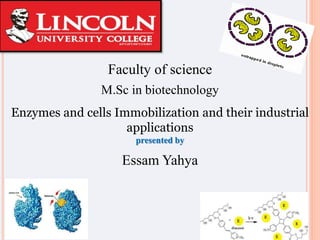 Faculty of science
M.Sc in biotechnology
Enzymes and cells Immobilization and their industrial
applications
presented by
Essam Yahya
 