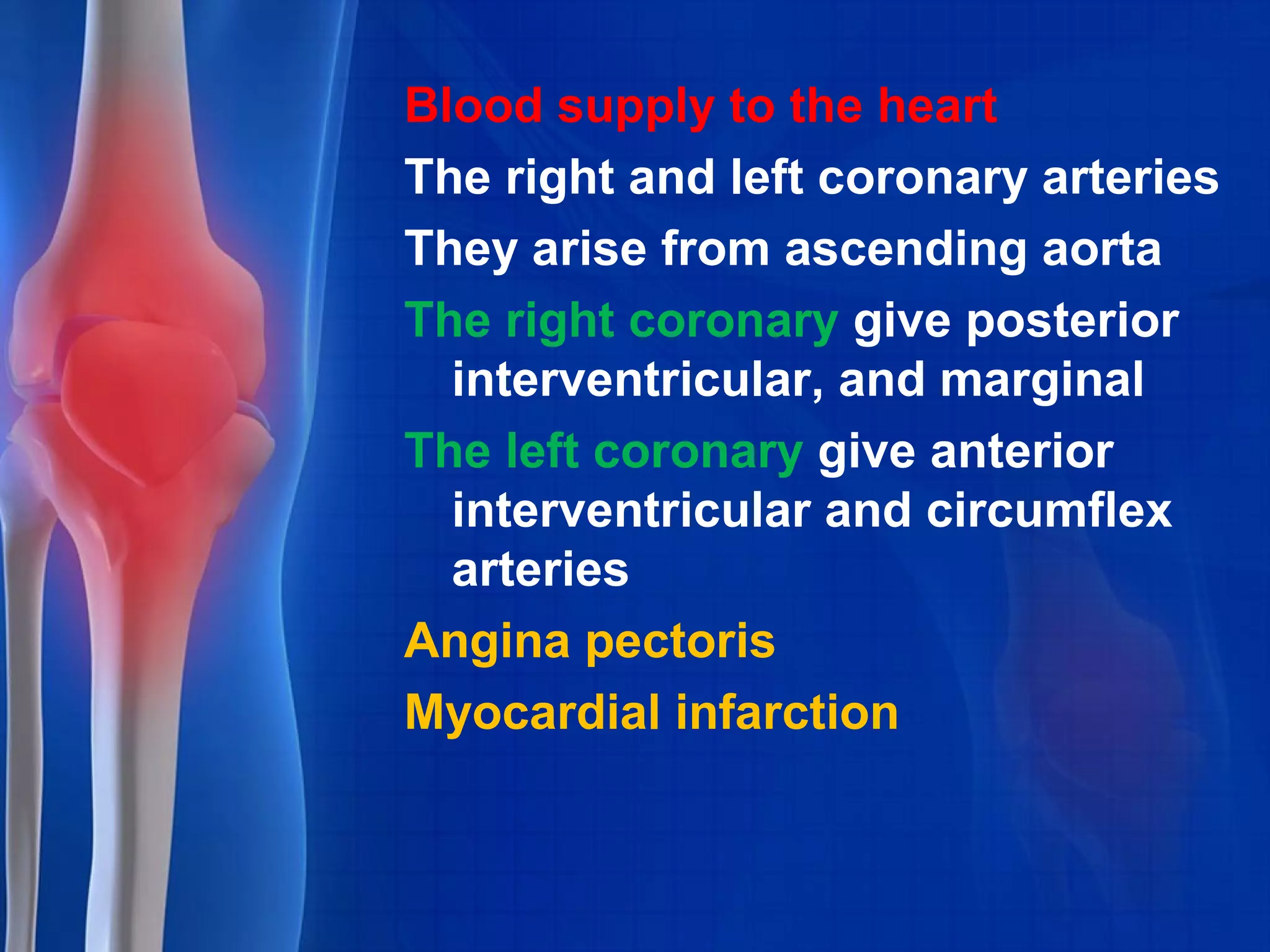 Blood supply to the heart
The right and left coronary arteries
They arise from ascending aorta
The right coronary give posterior
interventricular, and marginal
The left coronary give anterior
interventricular and circumflex
arteries
Angina pectoris
Myocardial infarction
 