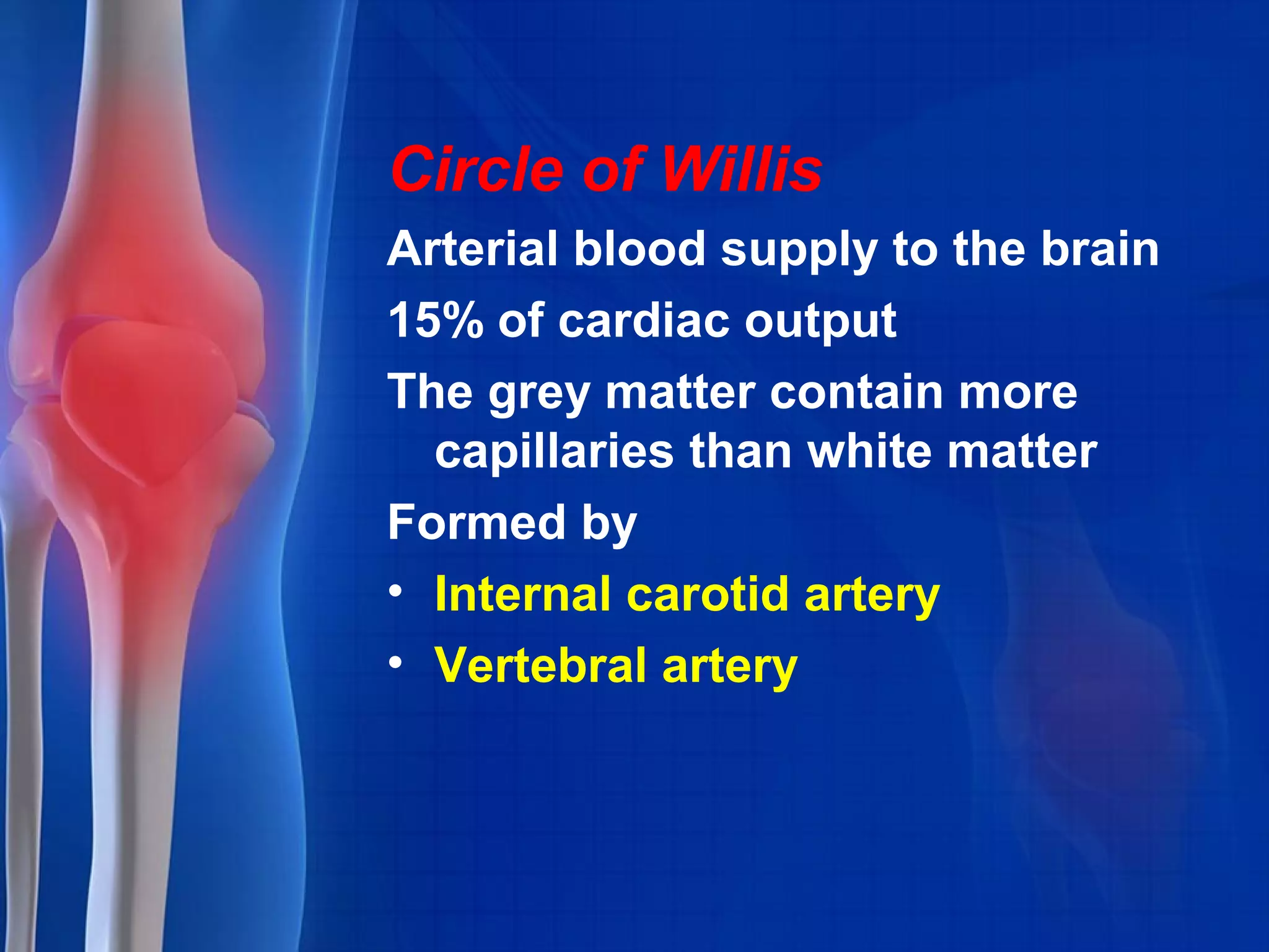 Circle of Willis
Arterial blood supply to the brain
15% of cardiac output
The grey matter contain more
capillaries than white matter
Formed by
• Internal carotid artery
• Vertebral artery
 