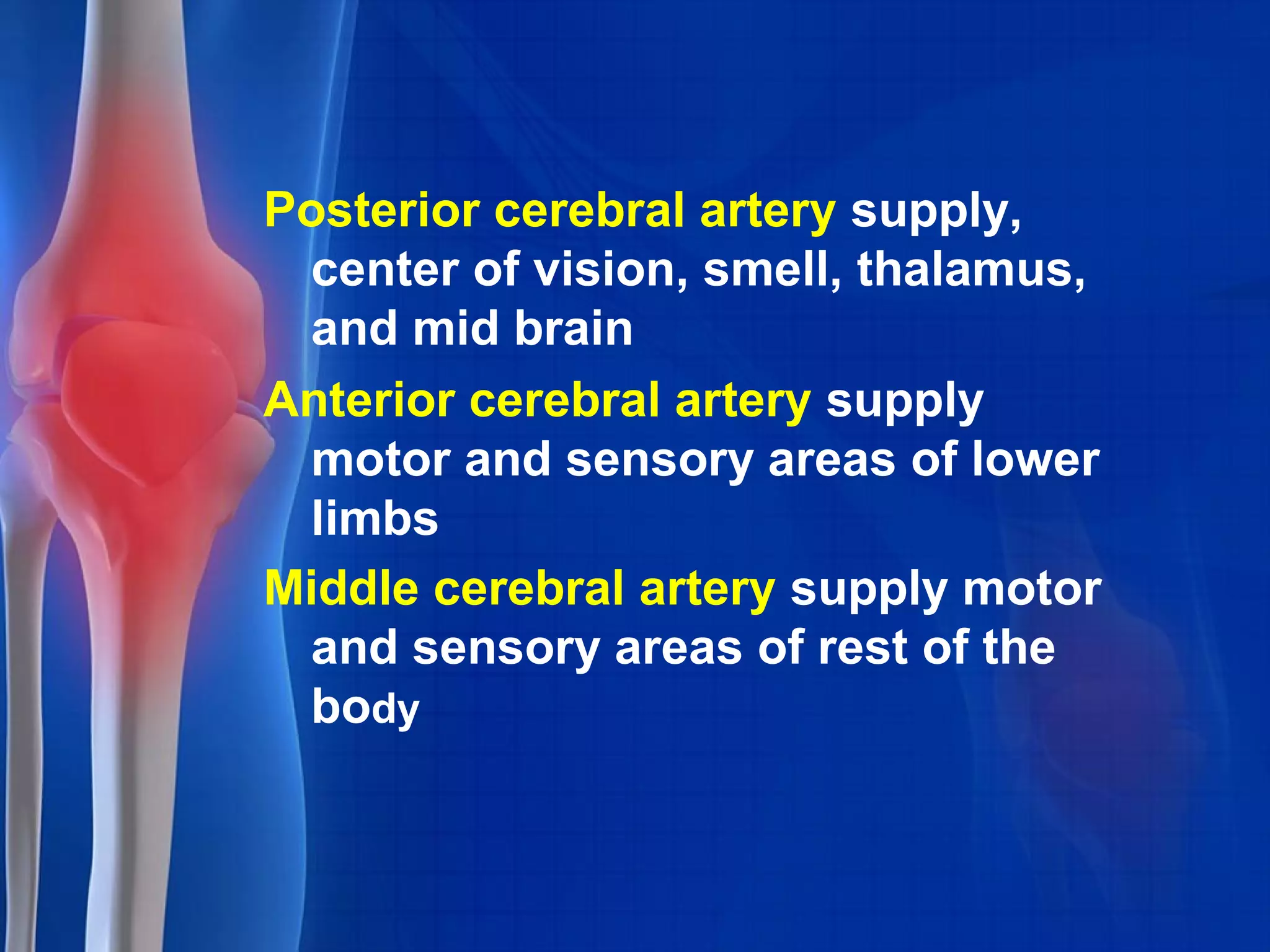 Posterior cerebral artery supply,
center of vision, smell, thalamus,
and mid brain
Anterior cerebral artery supply
motor and sensory areas of lower
limbs
Middle cerebral artery supply motor
and sensory areas of rest of the
body
 