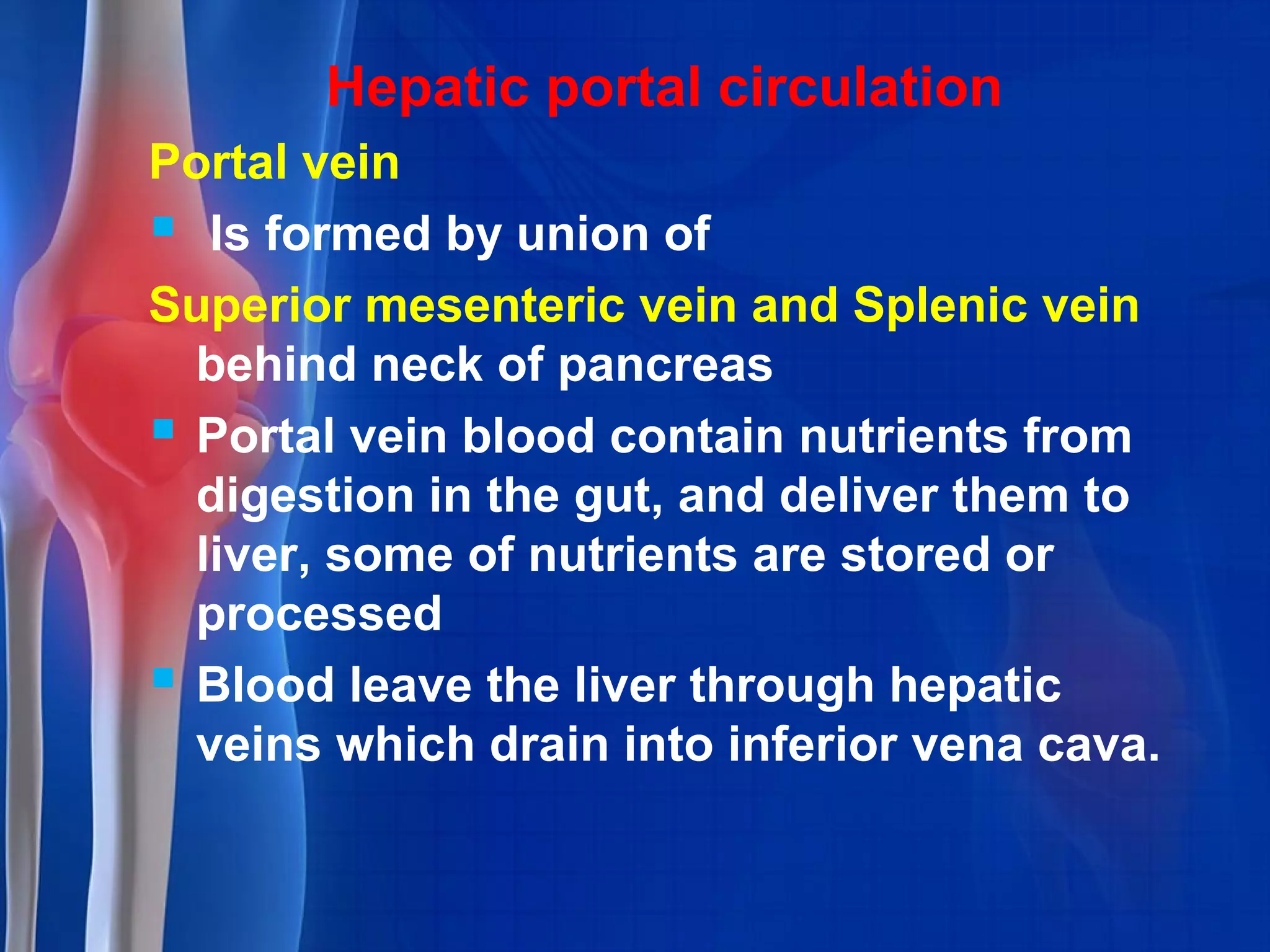 Hepatic portal circulation
Portal vein
 Is formed by union of
Superior mesenteric vein and Splenic vein
behind neck of pancreas
 Portal vein blood contain nutrients from
digestion in the gut, and deliver them to
liver, some of nutrients are stored or
processed
 Blood leave the liver through hepatic
veins which drain into inferior vena cava.
 