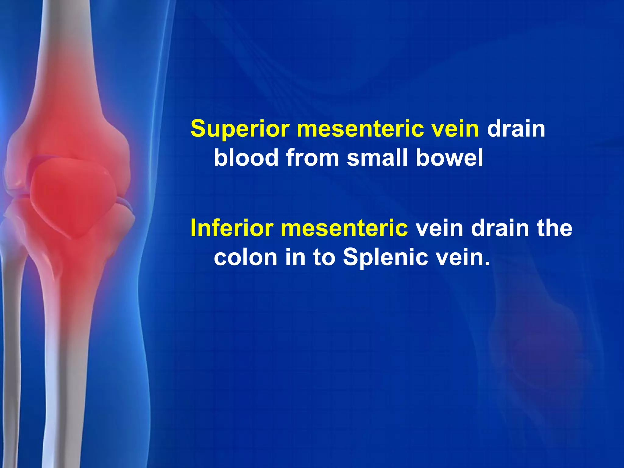 Superior mesenteric vein drain
blood from small bowel
Inferior mesenteric vein drain the
colon in to Splenic vein.
 
