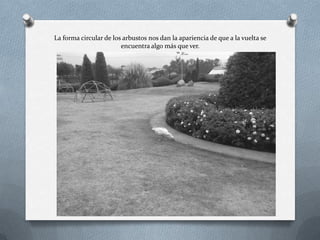 La forma circular de los arbustos nos dan la apariencia de que a la vuelta se
encuentra algo más que ver.
 