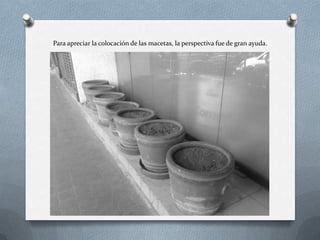 Para apreciar la colocación de las macetas, la perspectiva fue de gran ayuda.
 