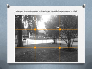 La imagen tiene más peso en la derecha por coincidir los puntos con el árbol.
 