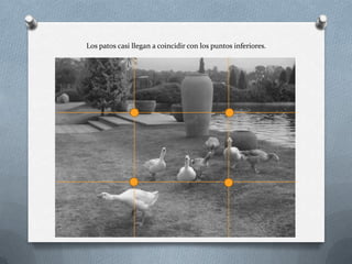 Los patos casi llegan a coincidir con los puntos inferiores.
 