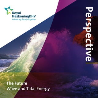 PerspectiveThe Future
Wave and Tidal Energy
 